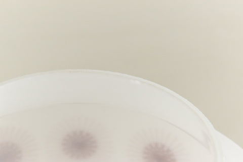 Vintage 1960s White and Burgundy Atomic Glass Pendant Light Shade