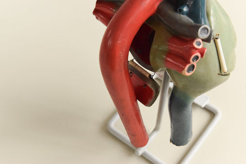 Vintage Anatomical Model of a Heart