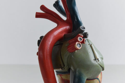 Vintage Anatomical Model of a Heart