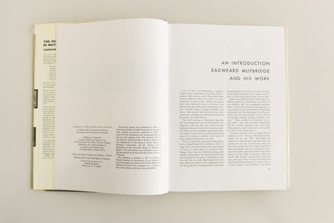 Vintage Book The Human Figure in Motion by Eadward Muybridge
