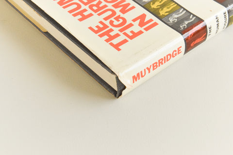 Vintage Book The Human Figure in Motion by Eadward Muybridge