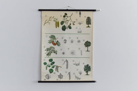 Vintage Botanical Wall Hanging of Flowers and Pollen
