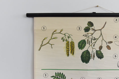 Vintage Botanical Wall Hanging of Flowers and Pollen