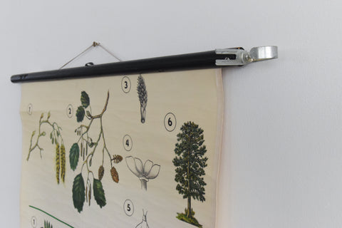 Vintage Botanical Wall Hanging of Flowers and Pollen