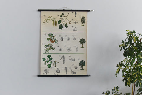 Vintage Botanical Wall Hanging of Flowers and Pollen