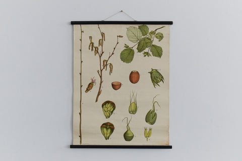 Vintage Botanical Wall Hanging of Hazel
