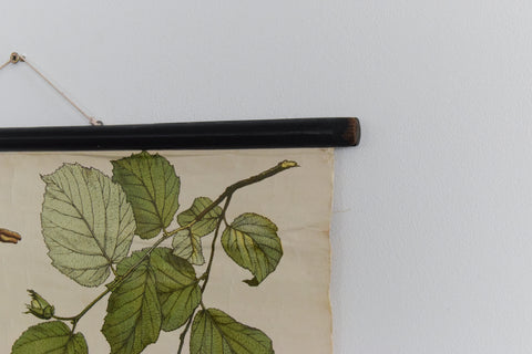 Vintage Botanical Wall Hanging of Hazel