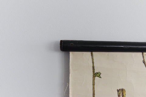 Vintage Botanical Wall Hanging of Hazel