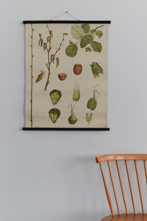 Vintage Botanical Wall Hanging of Hazel