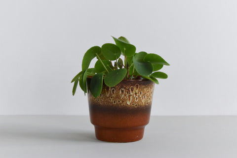 Vintage Brown Drip Glaze West German Plant Pot