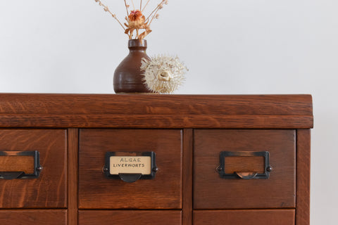 Vintage Ex-Museum Library Index Card Filing Drawers