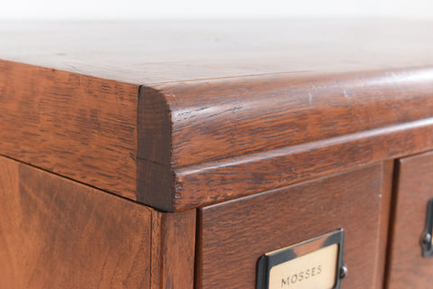 Vintage Ex-Museum Library Index Card Filing Drawers
