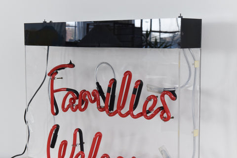 Vintage Families Welcome Advertising Neon Wall Light