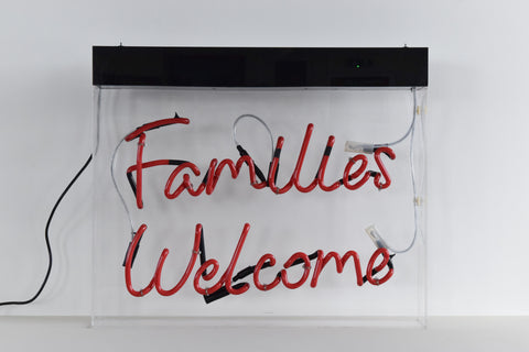 Vintage Families Welcome Advertising Neon Wall Light