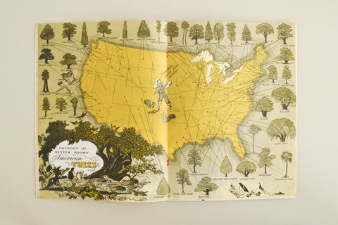 Vintage How to Draw Trees Book by Frederick J.Garner