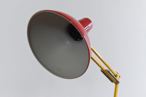 Vintage Multi Coloured 1001 Lamps Anglepoise Desk Lamp