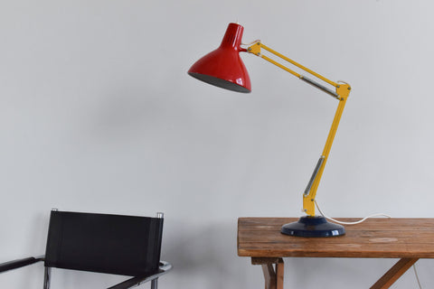 Vintage Multi Coloured 1001 Lamps Anglepoise Desk Lamp