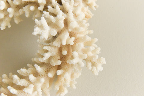 Vintage White Coral Branch Specimen / Sculpture