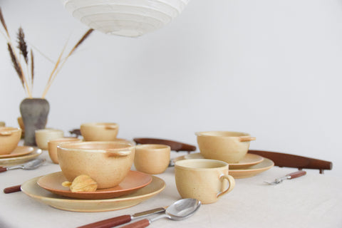 Group Photograph of French Stoneware Crockery