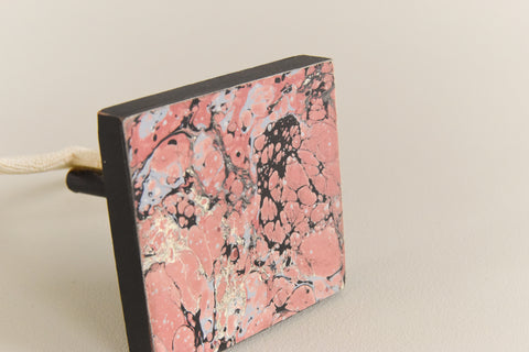 Mounted Small Taxidermy White Finger Starfish