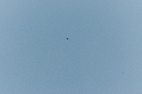 Rare Vintage Frank Guille for Kandya Blue Formica Kitchen Table