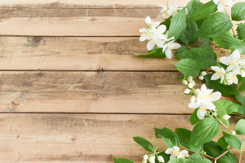Vintage Extra Large Rustic Wooden Trestle Table