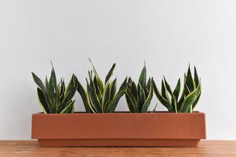 Vintage Fibreglass Window Box Planter / Trough