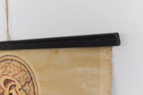 Vintage Small St. John's Ambulance Anatomical Poster