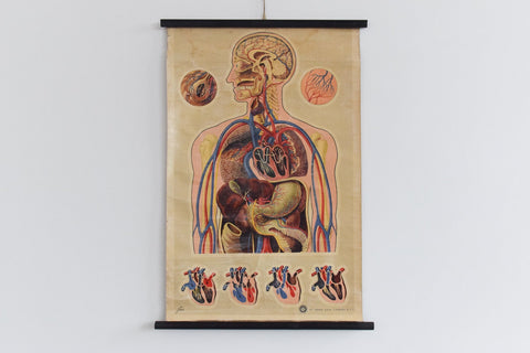 Vintage Small St. John's Ambulance Anatomical Poster
