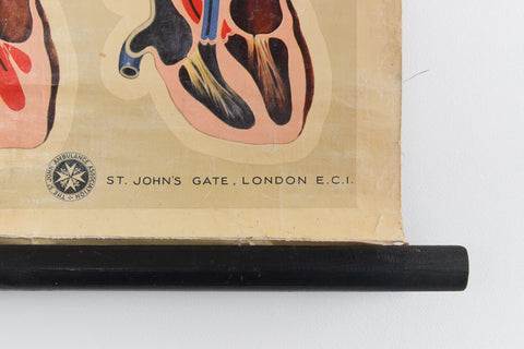 Vintage Small St. John's Ambulance Anatomical Poster