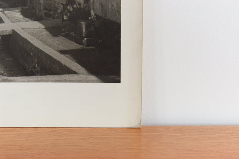 Vintage Original Photograph by Photographer Ian Reeves
