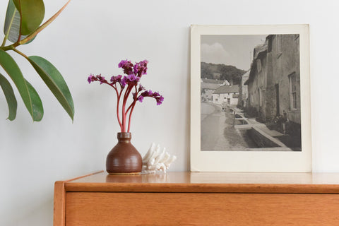 Vintage Original Photograph by Photographer Ian Reeves