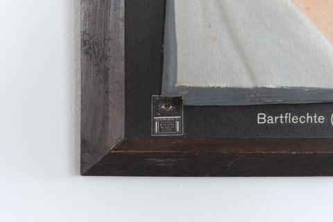 Vintage Small Medical Study 3D Picture German Medical Museum