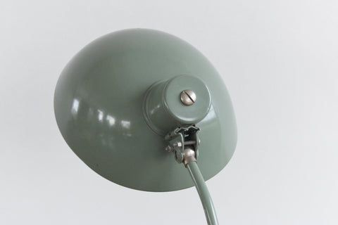 Vintage Sage Green French Gooseneck Desk Lamp