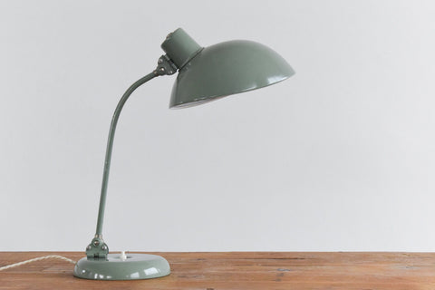 Vintage Sage Green French Gooseneck Desk Lamp