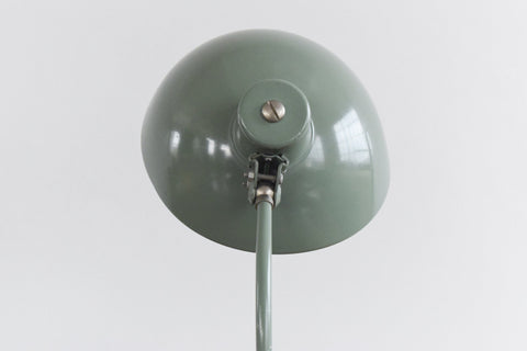 Vintage Sage Green French Gooseneck Desk Lamp