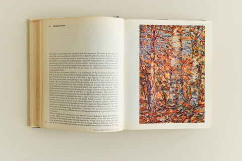 Vintage Book - Expressionism by Bernard S. Myers 1963