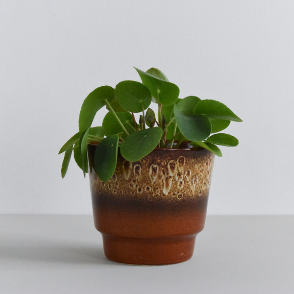 german plant pots Vintage Brown Drip Glaze West German Plant Pot – Absolutely Nice Vintage