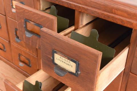 Vintage Ex-Museum Library Index Card Filing Drawers