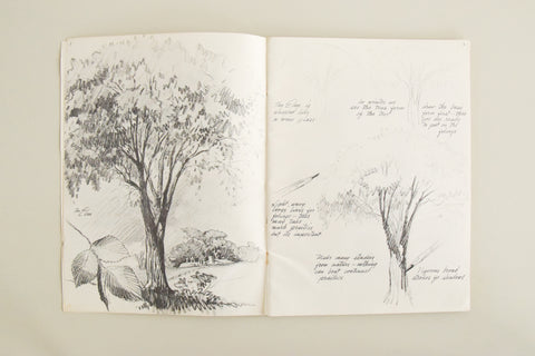 Vintage How to Draw Trees Book by Frederick J.Garner