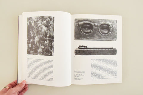 Vintage Jasper Johns Book by Richard Francis