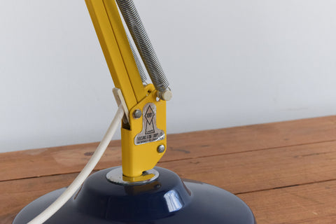 Vintage Multi Coloured 1001 Lamps Anglepoise Desk Lamp