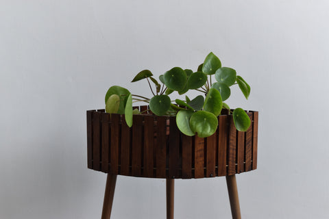 Vintage Teak and Brass Corner Plant Stand by Gladlyn Ware