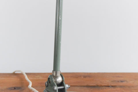Vintage Sage Green French Gooseneck Desk Lamp